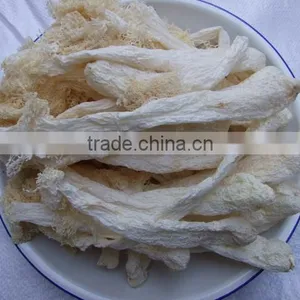 Chinese Mushroom Dried Cultivated Dictyophora thumbnail-1