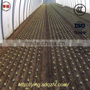 2ZBZ-2A Self-propelled Vegetable Transplanting Machine Vegetable Transplanter thumbnail-5