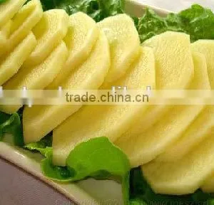 Garlic Slicer Machine thumbnail-4