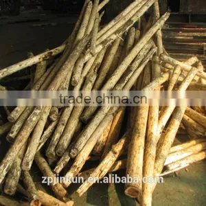 2016 Hot Sale Automatic Wood Debarker/peeling Machine With Reliable Manufacture thumbnail-4