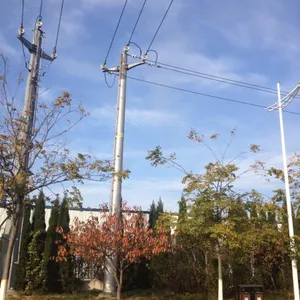 10kv Distribution Momopole thumbnail-1