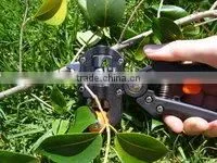 Grafting Machine With Three Blades thumbnail-2