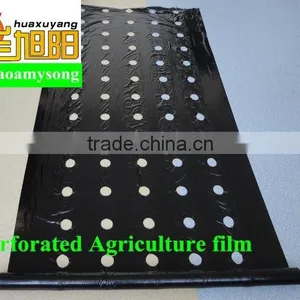Hot ! The Agriculture Black Plastic Film for Mulching thumbnail-1