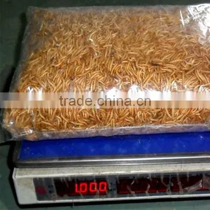 Dry Fish Food,Dried Mealworms Fish Feed thumbnail-3