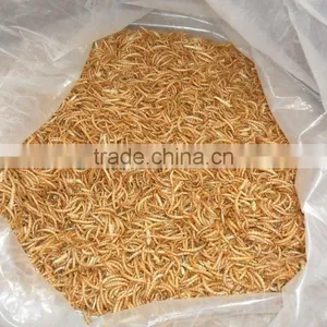 FDA Certification Dried Mealworms for Sale thumbnail-2