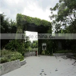 2017 Hot Sale SJZWQ-04 Outdoor Artificial Fake Green Fake Wall thumbnail-3