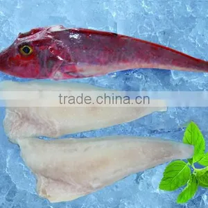 Red Gurnard With Frozen thumbnail-3