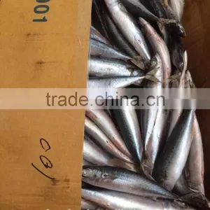 China Suppliers of Frozen Mackerel thumbnail-1