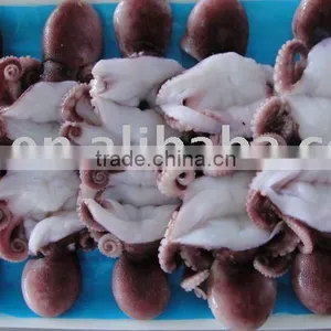Sushi Octopus thumbnail-1