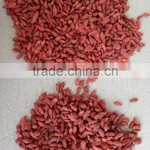 2016 New Natural Goji Berry/ Wolf Berry/gouqi thumbnail-2