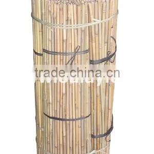 Tonkin Bamboo Canes LOW PRICE thumbnail-1