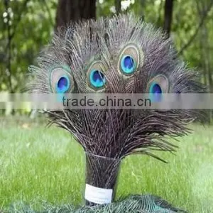 Peacock Eye Tail Feather For Accessory DIY Masquerade Decoration Party Dress thumbnail-1