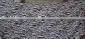 Pashmina thumbnail-1