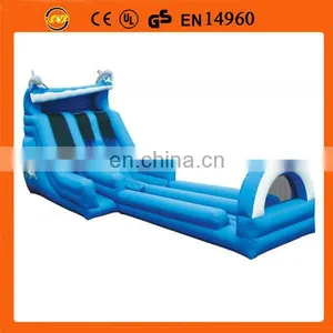 Double Lane Dolphin Inflatable Slide for Water Play thumbnail-1