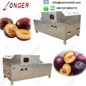 Fruit Factory Use Automatic Cherry Plum Pitting Machine thumbnail-4