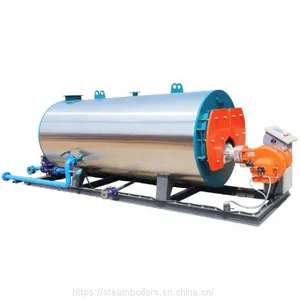 Natural Gas LPG Diesel Oil Fired Hot Water Boiler for Hotel Restaurant Room Residential Heating thumbnail-1