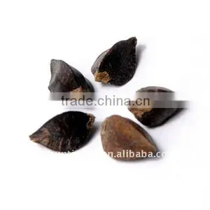 Buckwheat thumbnail-1