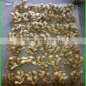 (NEW) 2015 Factory Hot Sale Fresh Garlic thumbnail-4