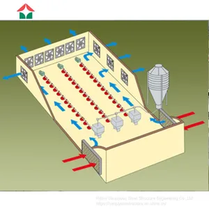 China Made Commercial Chicken House Used thumbnail-1