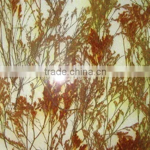 Laminated Glass Balcony Glass Decorate Glass thumbnail-1