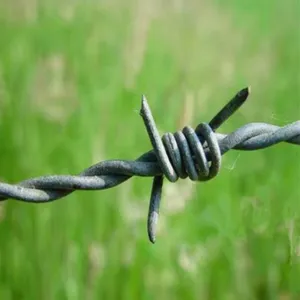 Security Protection Prison Applications Galvanized Cattle Barbed Wire thumbnail-1