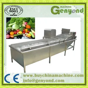 China Frozen Vegetable Production Line/Green Peas Quick Freezing Processing Machine thumbnail-2