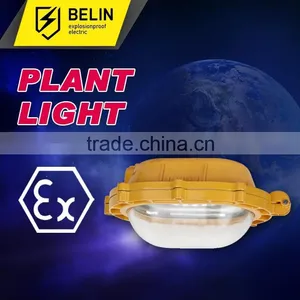 BFE8120 Explosion Proof Inside Floodlight thumbnail-1