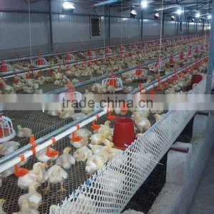 Full Set High Quality Automatic Equipment for Broiler Poultry House thumbnail-1