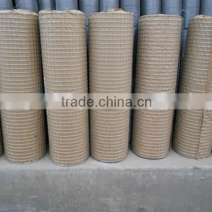 Electro Galvanized/PVC Coated/Hot Dipped Galvanized Welded Wire Mesh thumbnail-1