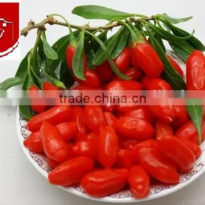 DRIED GOJI BERRY thumbnail-1