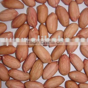 Shandong Peanut thumbnail-1