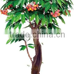 Indoor Home Decorative Artificial Mango Tree thumbnail-5