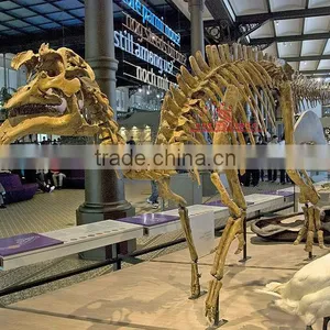 Simulation Dinosaur Skeleton Fossil thumbnail-1