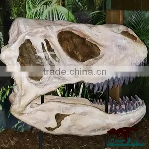 OA-SD-L35 Museum Exhibition Equipment Dinosaur Skull thumbnail-6