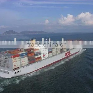 Break Balk to Kuwait From Shenzhen thumbnail-1