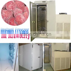 Instant Freezer for 300kg Strawberry Freezing thumbnail-1