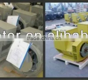 100% Copper Wire ST STC Pernanent Magnet Alternator Prices Generator 220V thumbnail-6