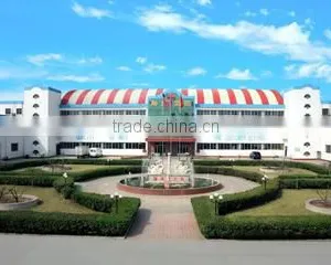Tianjin Tengda Group Co., Ltd. company overview - view 3 thumbnail