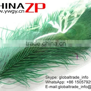 Leading Supplier CHINAZP Wholesale Cheap Full Eye Dyed Green Peacock Tail Feathers thumbnail-6