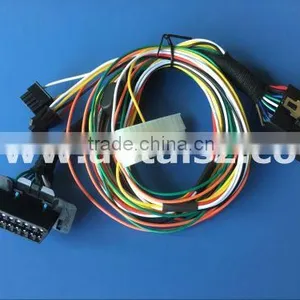 Factory Custom OBD2 Wiring Harness With Housing + Car Maker Female Connector thumbnail-1