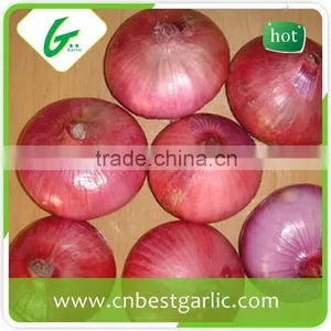 China Cheap Onion Price thumbnail-3