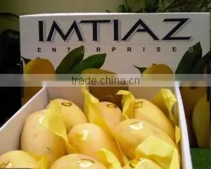 Imtiaz Enterprises company overview - view 3 thumbnail