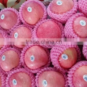 Chinese Fuji Apple thumbnail-3