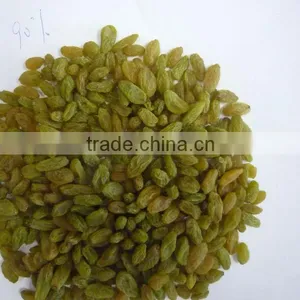 INDIAN FAMOUS GREEN RAISIN thumbnail-1