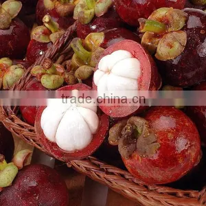 Mangosteen Fruit Seedling thumbnail-2