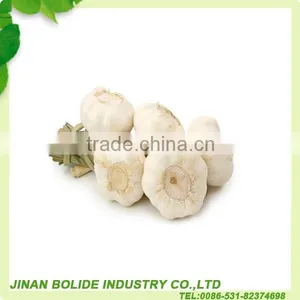Fresh Normal White Garlic Whit Good Quality thumbnail-1