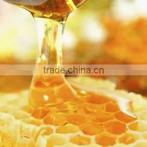 100% Pure Propolis Bulk ( Skype: Liu.diana 79 , Whatsapp: 15029025639) thumbnail-6
