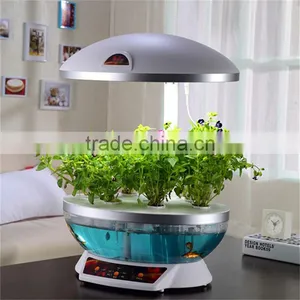 Large Fish Tank Aquarium thumbnail-6