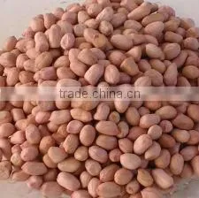 Round Type Peanuts Kernel 50/60 thumbnail-1