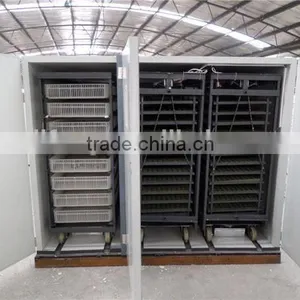 CE Approved Automatic 12000 Pcs Chicken Brooder Machine thumbnail-3
